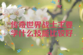 传奇世界战士主要学什么技能比较好