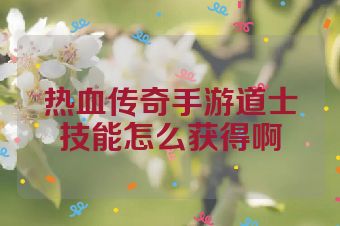 热血传奇手游道士技能怎么获得啊