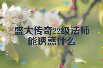 盛大传奇22级法师能诱惑什么