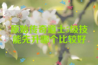 原始传奇道士5级技能先升哪个比较好