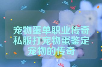 宠物蛋单职业传奇私服打宠物蛋鉴定宠物的传奇