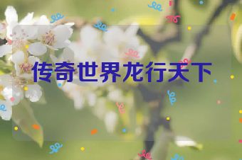 传奇世界龙行天下