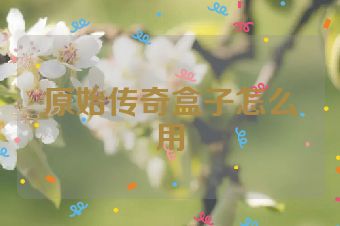 原始传奇盒子怎么用