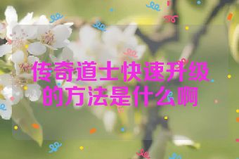 传奇道士快速升级的方法是什么啊