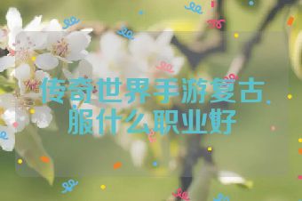 传奇世界手游复古服什么职业好