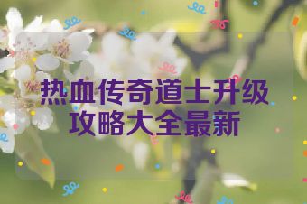 热血传奇道士升级攻略大全最新
