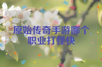 原始传奇手游哪个职业打怪快