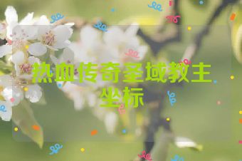 热血传奇圣域教主坐标