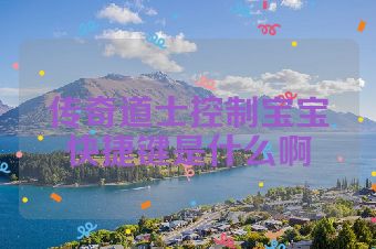 传奇道士控制宝宝快捷键是什么啊