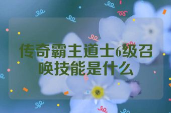 传奇霸主道士6级召唤技能是什么