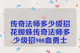 传奇法师多少级招花蜘蛛传奇法师多少级招900血勇士