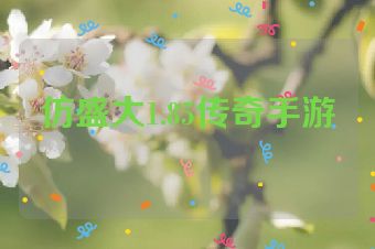 仿盛大1.85传奇手游