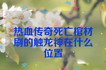 热血传奇死亡棺材刷的触龙神在什么位置