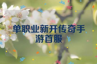 单职业新开传奇手游首服