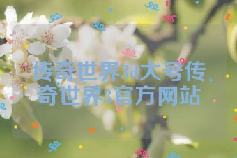 传奇世界3d大号传奇世界3官方网站
