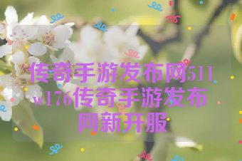 传奇手游发布网511w176传奇手游发布网新开服