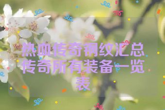 热血传奇钢纹汇总传奇所有装备一览表