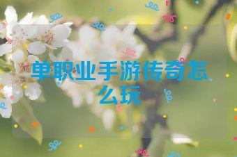 单职业手游传奇怎么玩