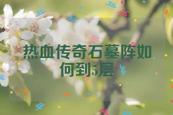 热血传奇石墓阵如何到5层