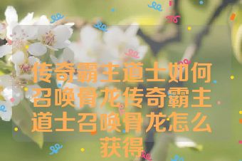 传奇霸主道士如何召唤骨龙传奇霸主道士召唤骨龙怎么获得