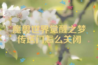 魔兽世界觉醒之梦传送门怎么关闭