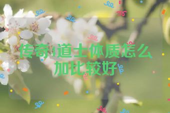 传奇4道士体质怎么加比较好