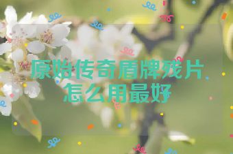原始传奇盾牌残片怎么用最好