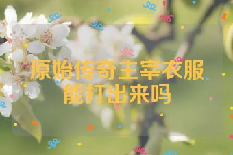 原始传奇主宰衣服能打出来吗