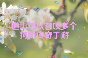 道士可以召唤多个狗的传奇手游