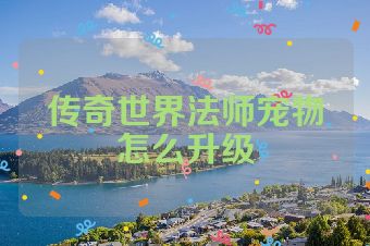 传奇世界法师宠物怎么升级