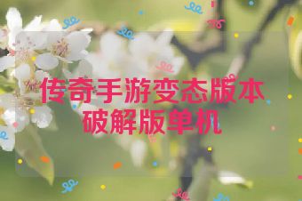 传奇手游变态版本破解版单机