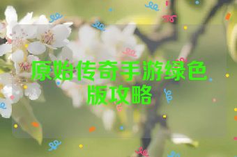 原始传奇手游绿色版攻略