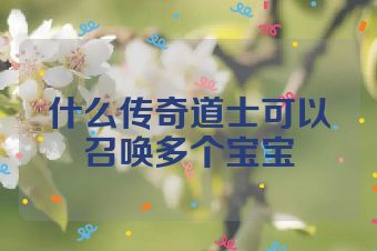 什么传奇道士可以召唤多个宝宝