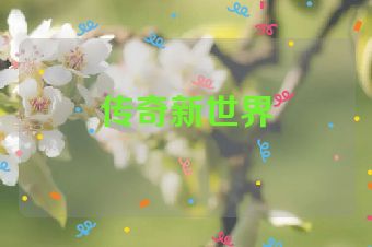 传奇新世界