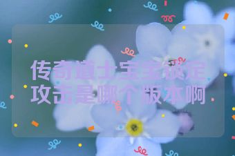 传奇道士宝宝锁定攻击是哪个版本啊