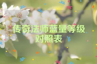 传奇法师蓝量等级对照表