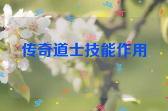 传奇道士技能作用