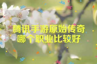 腾讯手游原始传奇哪个职业比较好