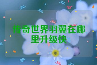 传奇世界羽翼在哪里升级快