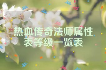 热血传奇法师属性表等级一览表