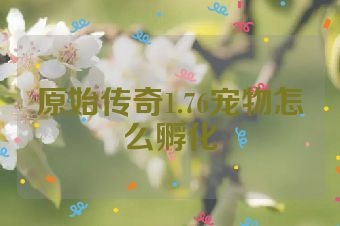 原始传奇1.76宠物怎么孵化