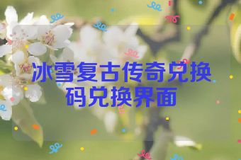 冰雪复古传奇兑换码兑换界面
