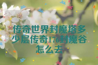 传奇世界封魔塔多少层传奇176封魔谷怎么去