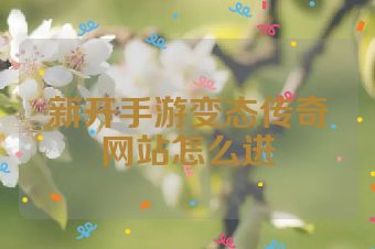 新开手游变态传奇网站怎么进