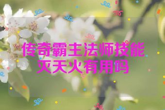 传奇霸主法师技能灭天火有用吗