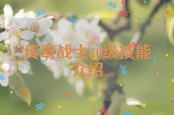 传奇战士40级技能介绍