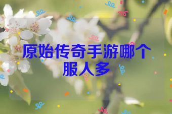 原始传奇手游哪个服人多