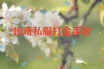 传奇私服打金手游