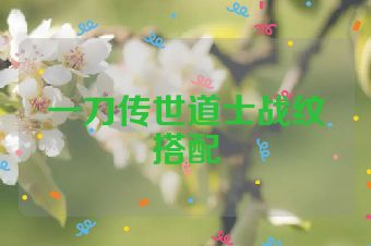 一刀传世道士战纹搭配