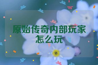 原始传奇内部玩家怎么玩